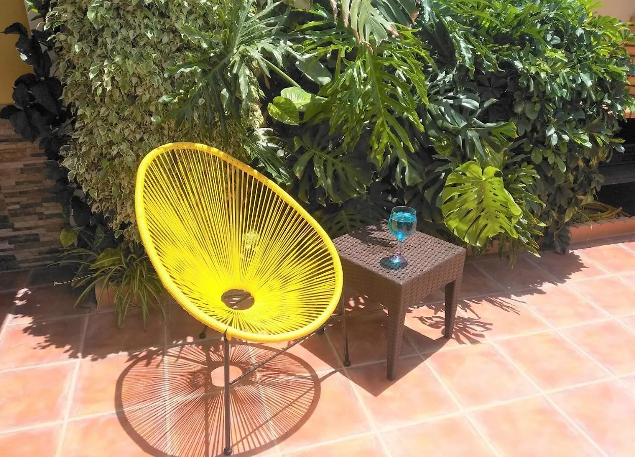 Casa Pita Willa Buenavista Del Norte 0*,  Hiszpania